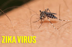 virus-zika.jpg